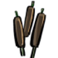 Cattail.png