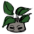 Mandrake.png